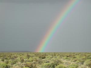 The steppe in Patagonia was studied for productivity