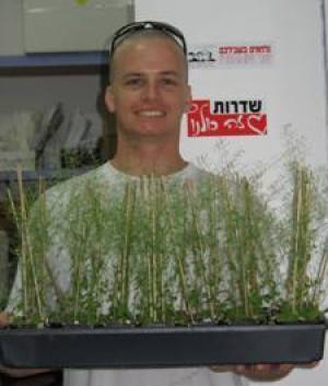 Israeli researchers are modifying plant roots to improve water uptake