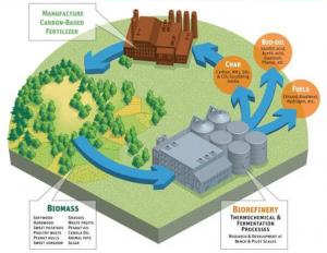 Carbon cycling to fight global warming