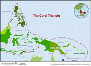 The Coral Triangle: Indonesia, Papua New Guinea, Philippines, Malaysia, Timor Leste and Solomon Islands