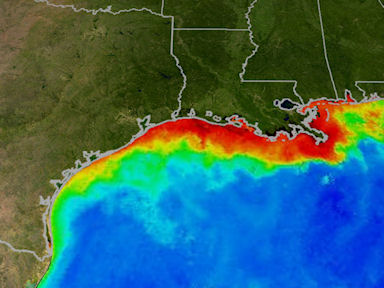 Gulf of Mexico dead zone, with very low oxygen in the water