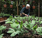 High-intensity home gardening