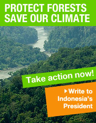 Take action to protect tropical rainforest