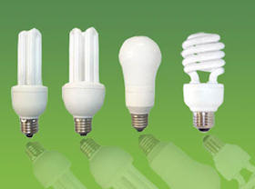 A variety of CFL (compact fluorescent) bulbs; don't forget LEDs!