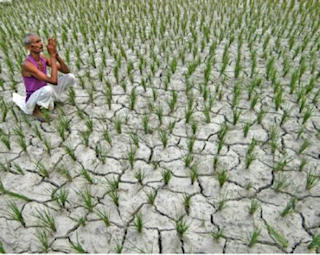 Droughts and water shortage, soil quality decline, costs of fertilizer, and population growth are leading to a persistent food shortage