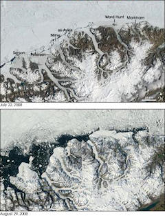 Changes in five Canadian ice shelves from July to August 2008