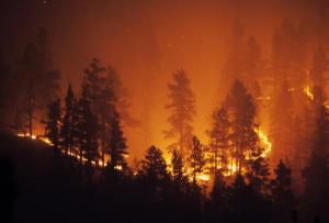 Wildfires are one of the threshold effects predicted in a new USA government report