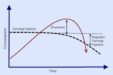 The classic overshoot pattern relating population size to resources and health