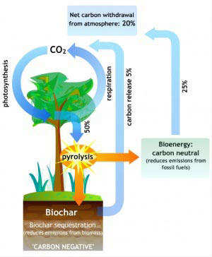 How biochar works