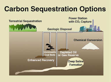 Carbon sequestration