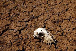 Drought hits a Spanish reservoir